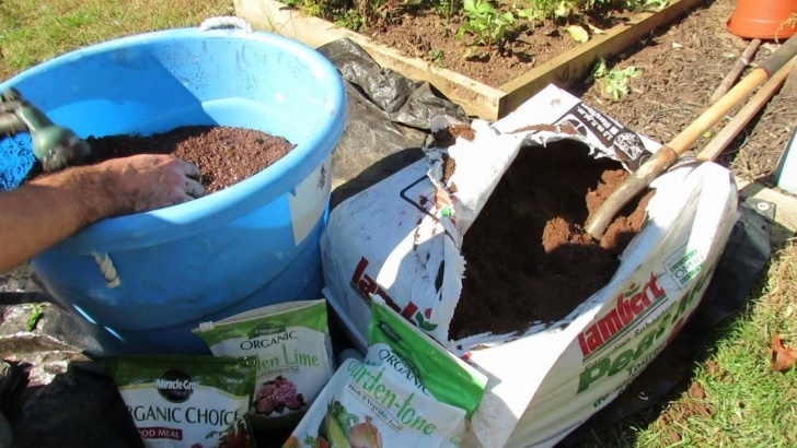 Preparing Raised Beds For Winter How To Organically Prepare Peat Moss For Container/ Raised Image 941