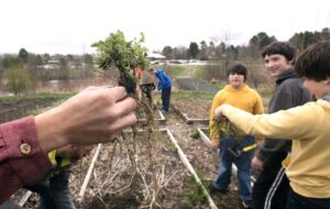 Preparing Raised Beds For Winter How To Prepare A Raised Garden Bed For Winter | Hello Image 976 Preparing Raised Beds For Winter How To Prepare A Raised Garden Bed For Winter | Hello Image 976