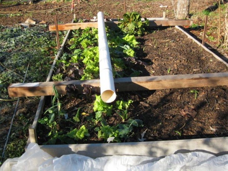 Preparing Raised Beds For Winter Raised Beds (Organic Forum At Permies) Photo 032