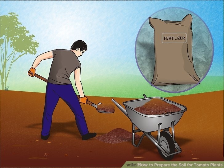 Preparing Soil For Planting How To Prepare The Soil For Tomato Plants: 15 Steps Picture 054