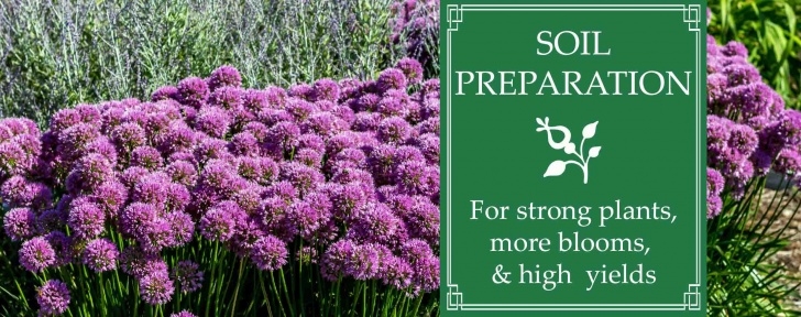 Preparing Soil For Planting Soil Preparation For Strong Plants, More Blooms &amp; High Image 110