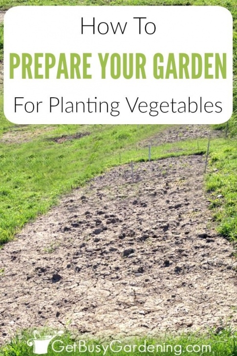 Preparing Soil For Vegetable Garden 5325 Best Gardening Tips &amp; Inspiration Images On Pinterest Photo 671