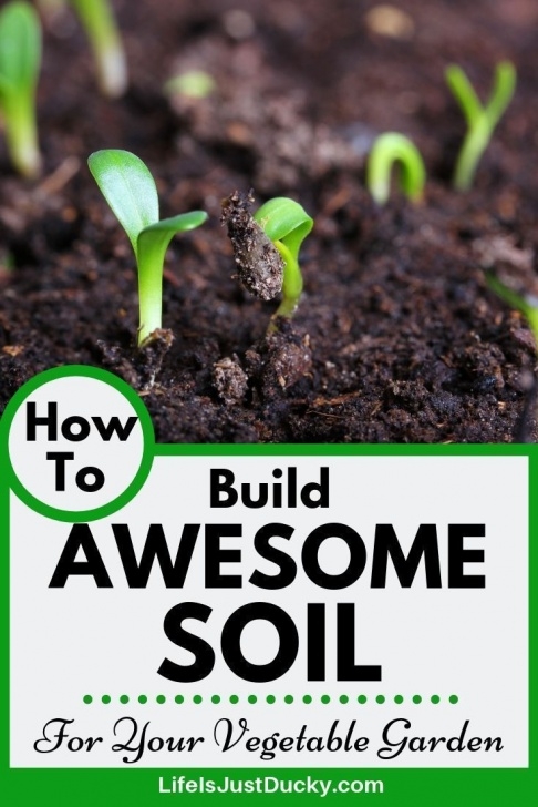 Preparing Soil For Vegetable Garden How To Prepare Awesome Soil For Your Vegetable Garden Image 296