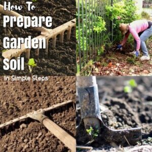 Preparing Soil For Vegetable Garden How To Prepare Soil For Gardening? (With Images) | Organic Image 522