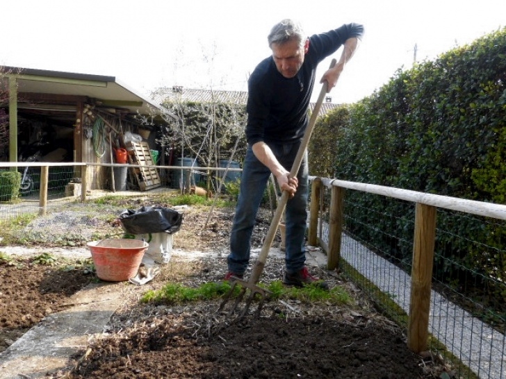 Preparing Soil For Vegetable Garden Into The Vegetable Garden: Preparing The Soil For Spring Image 567
