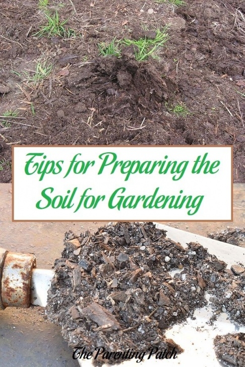 Preparing Soil For Vegetable Garden Tips For Preparing The Soil For Gardening | Vegetable Photo 923