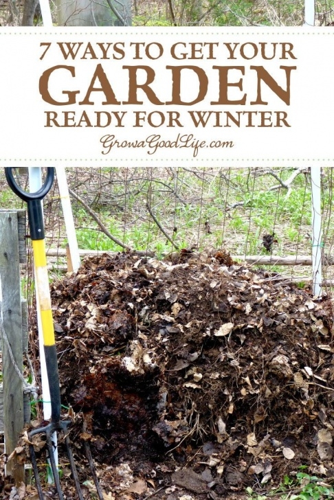 Preparing Vegetable Garden For Spring 7 Tips To Prepare Your Vegetable Garden For Winter Photo 943