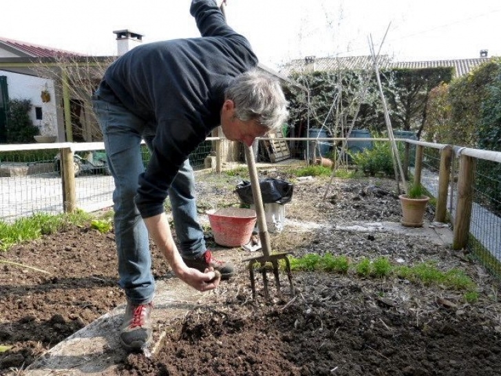 Preparing Vegetable Garden For Spring Into The Vegetable Garden: Preparing The Soil For Spring Image 392