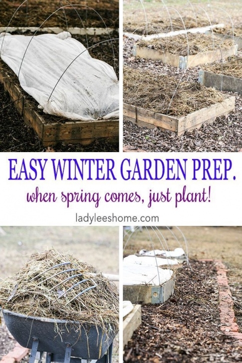 Preparing Vegetable Garden For Spring Preparing Your Garden For Winter, So You Have Nothing To Image 616