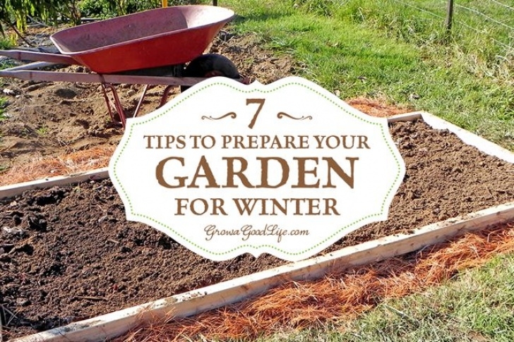Preparing Vegetable Garden For Winter 7 Tips To Prepare Your Vegetable Garden For Winter Image 055