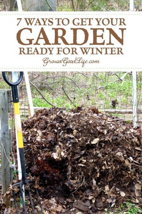 Preparing Vegetable Garden For Winter 7 Tips To Prepare Your Vegetable Garden For Winter Image 554