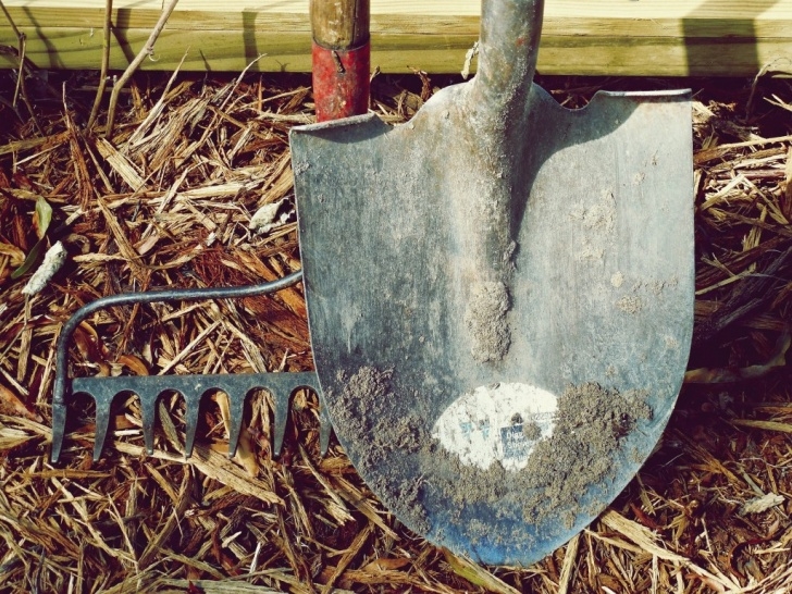 Preparing Vegetable Garden For Winter How To Prepare A Vegetable Garden For Winter | Hubpages Photo 591