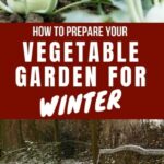 Preparing Vegetable Garden For Winter How To Prepare Your Vegetable Garden For Winter | Growing Image 798