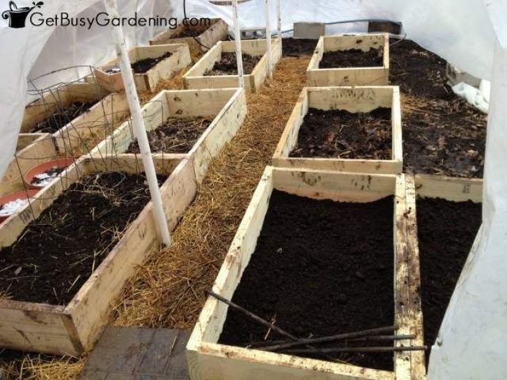 Preparing Vegetable Garden For Winter How To Prepare Your Vegetable Garden For Winter | Growing Picture 972