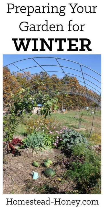 Preparing Vegetable Garden For Winter Preparing Your Garden For Winter (With Images) | Organic Photo 203