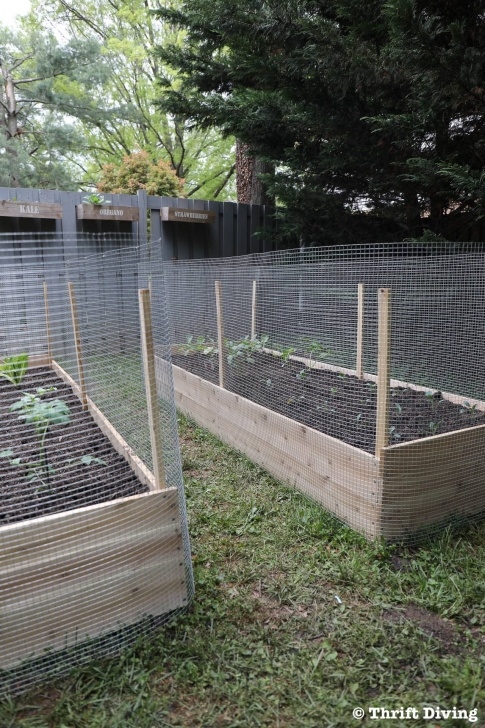 Protective Covers For Raised Garden Beds How To Build A Diy Raised Garden Bed And Protect It With A Picture 830
