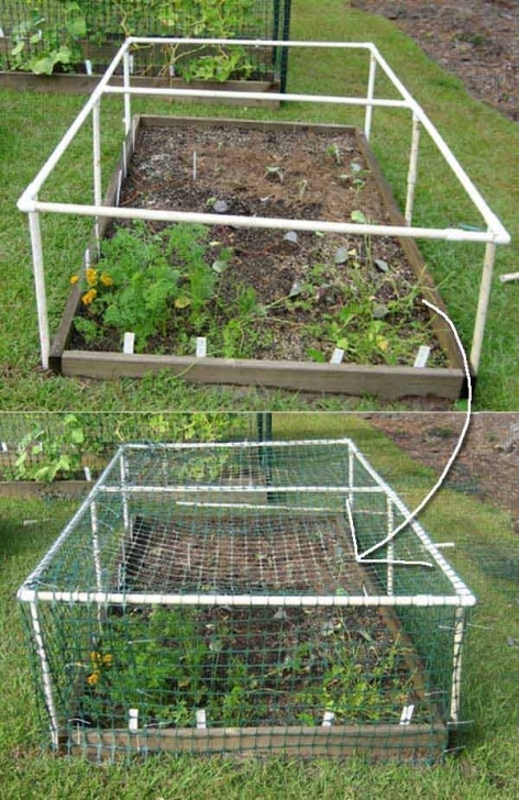 Protective Covers For Raised Garden Beds How To Build A Multipurpose Raised Bed Protective Cover Picture 139