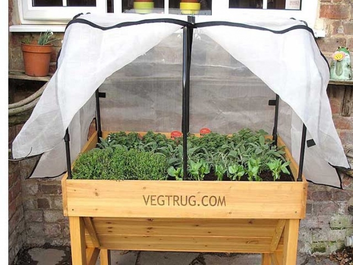 Protective Covers For Raised Garden Beds Raised Bed Covers - Plant Protection For Raised Beds Image 597