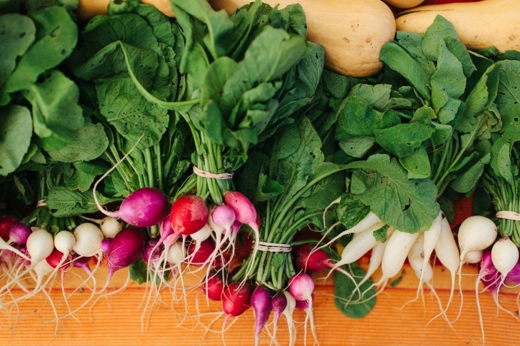 Quickest Vegetables To Grow Fast Growing Vegetables For An Instant Garden Picture 540