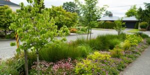 Rain Garden Landscaping 12,000 Rain Gardens In Puget Sound! | Rainbow Of Magnolia Picture 681