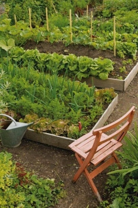 Raised Bed Gardening For Beginners 135 Best Raised Bed Gardens Images On Pinterest Image 709
