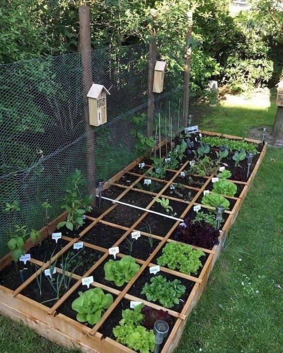 Raised Bed Gardening For Beginners 54 Diy Raised Garden Bed Plans &amp; Ideas You Can Build 47 Image 797