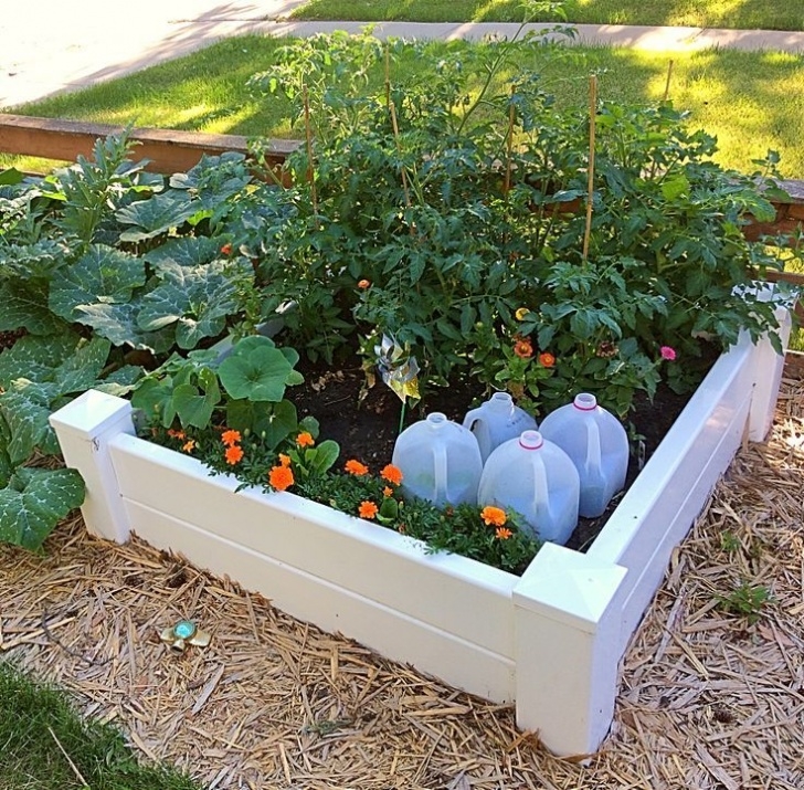 Raised Bed Gardening For Beginners A Good Raised Garden Bed Idea For A Vegetable Garden. It Picture 350