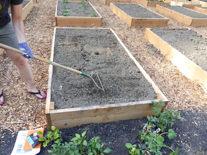 Raised Bed Gardening For Beginners Community Gardening - A Beginner'S Square Foot Garden Picture 434