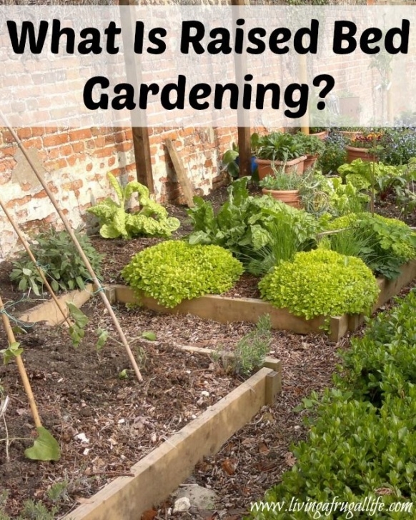 Raised Bed Gardening For Beginners What Is Raised Bed Gardening? | Vegetable Garden Raised Image 777