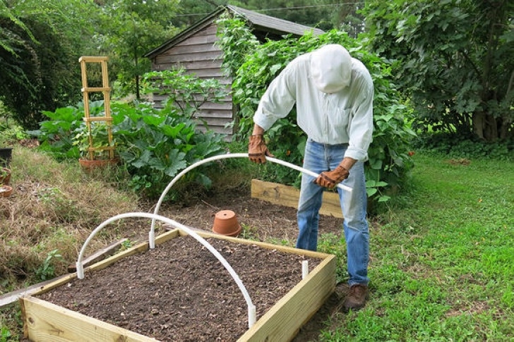 Raised Bed Vegetable Garden Covers Chambers County Master Gardener Newsletter | Old River Photo 798