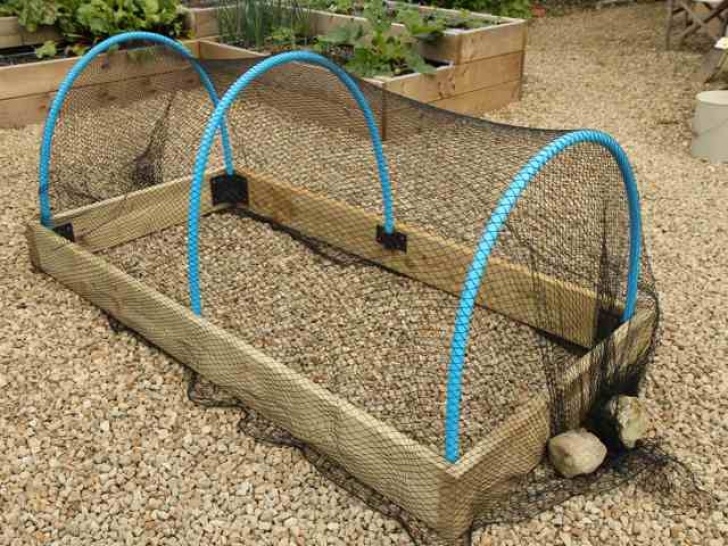 Raised Bed Vegetable Garden Covers Mini Polytunnels And Raised Bed Covers Photo 522