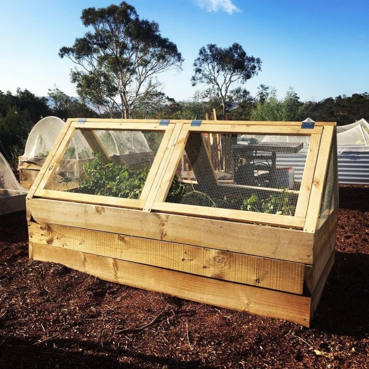 Raised Bed Vegetable Garden Covers Pin On Garden Boxes Raised Photo 337