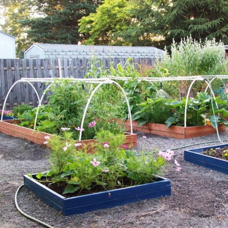 Raised Bed Vegetable Garden Layout 20 Raised Bed Garden Designs And Beautiful Backyard Photo 333
