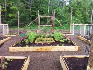 Raised Bed Vegetable Garden Layout Guide,Picture Sample: Landscaping Ideas Backyard Orchard Picture 484