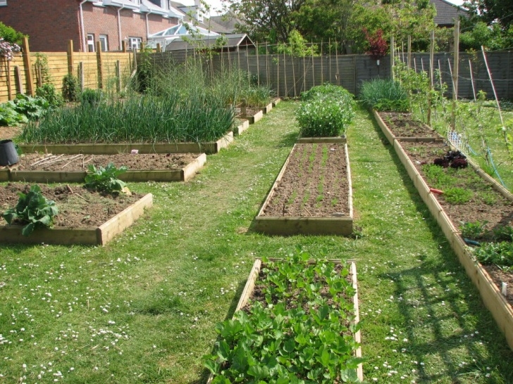 Raised Bed Vegetable Garden Layout Raised Garden Beds Make Gardening Easier Picture 390