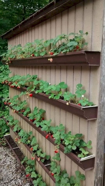 Raised Bed Vegetable Gardening For Beginners 40 Stunning Vegetable Garden Design Ideas Perfect For Picture 578