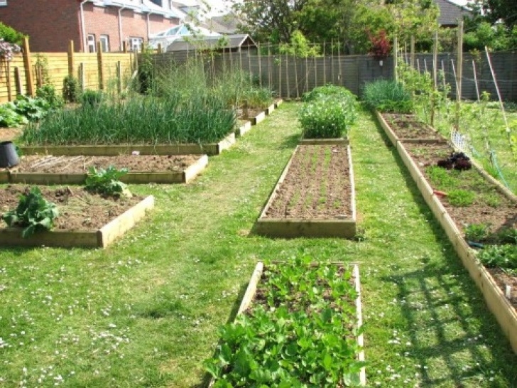 Raised Bed Vegetable Gardening For Beginners Raised Bed Vegetable Garden For Beginners | The Garden Picture 403