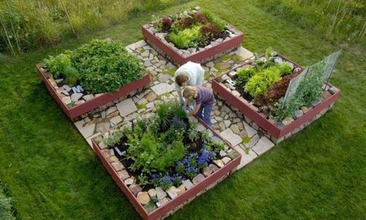 Raised Bed Vegetable Gardening For Beginners Raised Garden Beds | Small Vegetable Gardens, Vegetable Picture 602