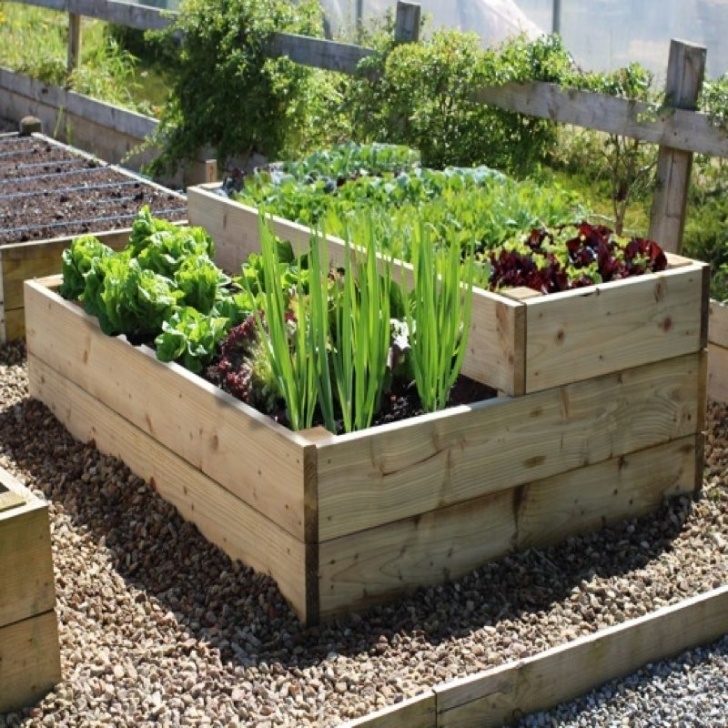 Raised Bed Vegetable Gardening For Beginners Raised Vegetable Beds Are Simple To Make And Easy To Image 703