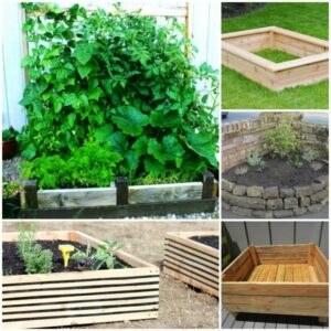 Raised Garden Bed Planting Plans 20 Brilliant Raised Garden Bed Ideas You Can Make In A Picture 801