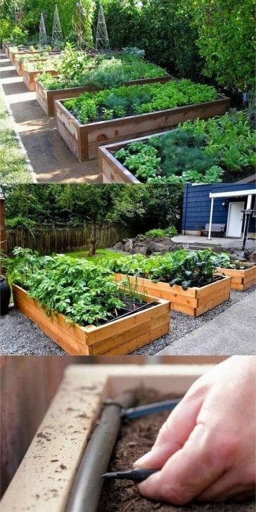 Raised Garden Bed Planting Plans 60 Diy Raised Garden Bed Plans &amp; Ideas You Can Build Picture 867