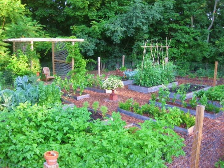 Raised Garden Bed Planting Plans Creating A Raised Bed Garden Picture 628