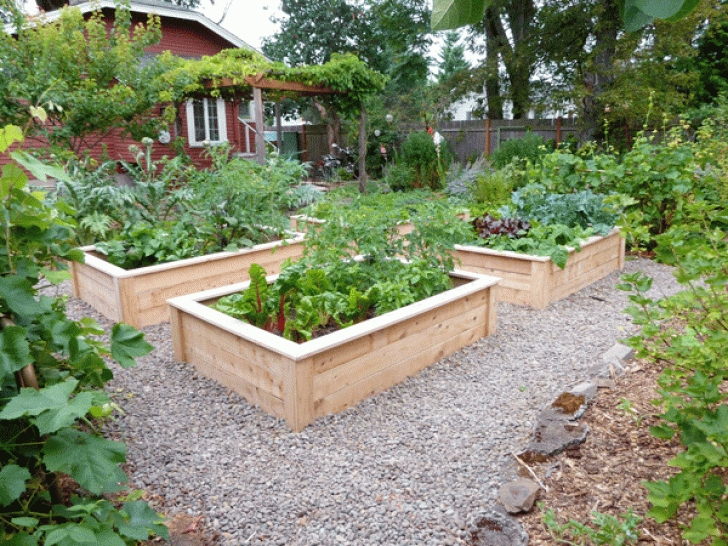 Raised Garden Bed Planting Plans Love These Raised-Beds! I'M Thinking The Gravel Might Be A Picture 835