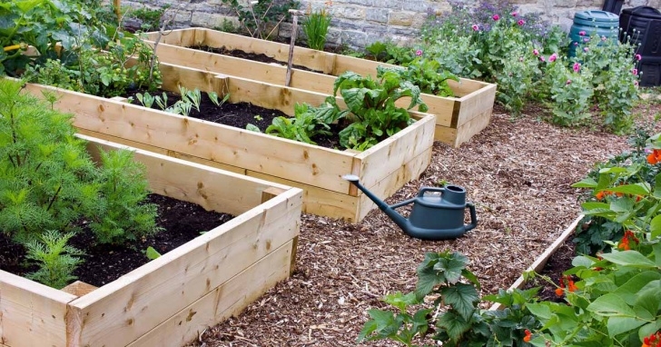 Raised Garden Bed Planting Plans Raised Bed Gardening Benefits: What Do They Actually Do? | Gp Image 681