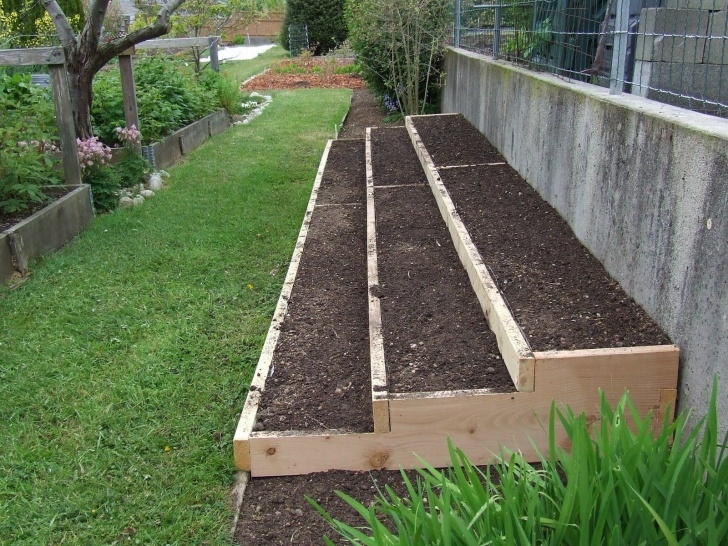 Raised Garden Bed Plants Growing Strawberries In Raised Beds - Google Search Image 495
