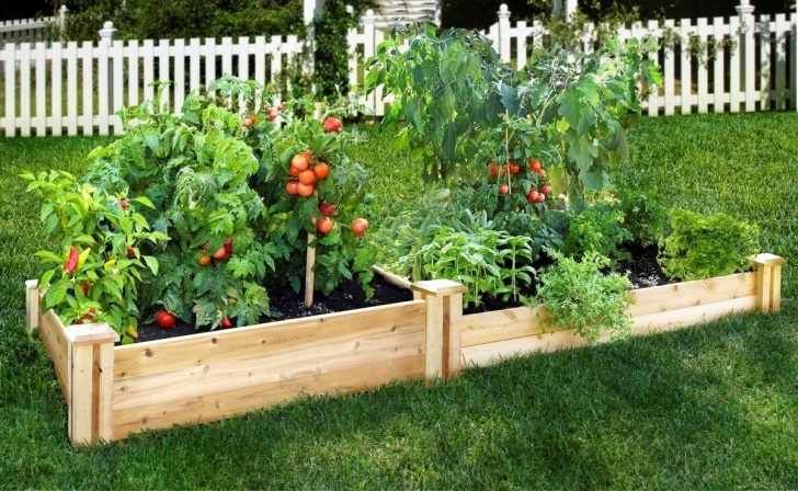 Raised Garden Bed Plants Raised Bed Gardening Starter Guide - Northeast Nursery Picture 884