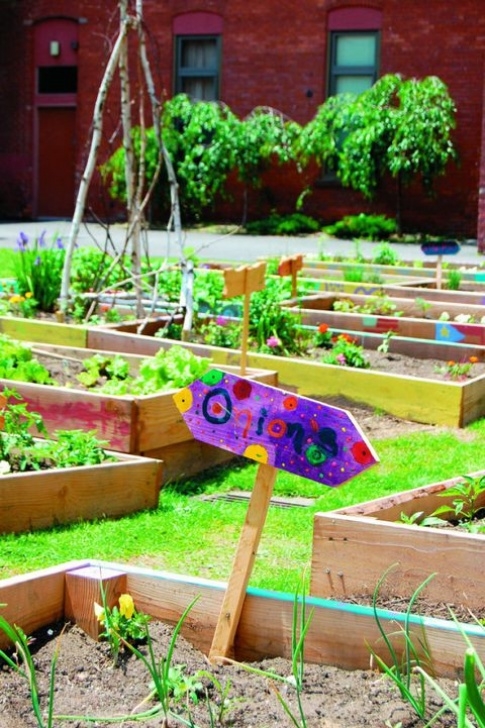 Raised Garden Bed Plants Reasons To Build A Raised Garden Bed | The Star Photo 698
