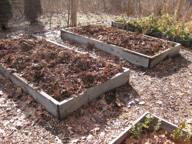 Raised Garden Bed Soil Maintenance Creating A Raised Bed Garden Photo 835