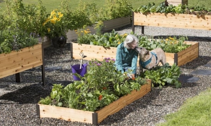 Raised Garden Bed Soil Maintenance Guide To Raised Garden Beds: Plans, Timing, Tending Picture 140
