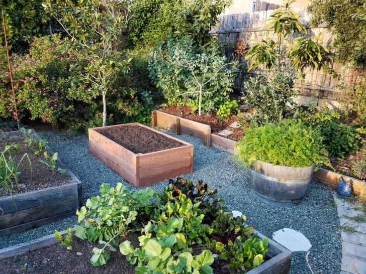 Raised Garden Bed Soil Maintenance How To Fill A Raised Garden Bed: Build The Perfect Organic Image 841